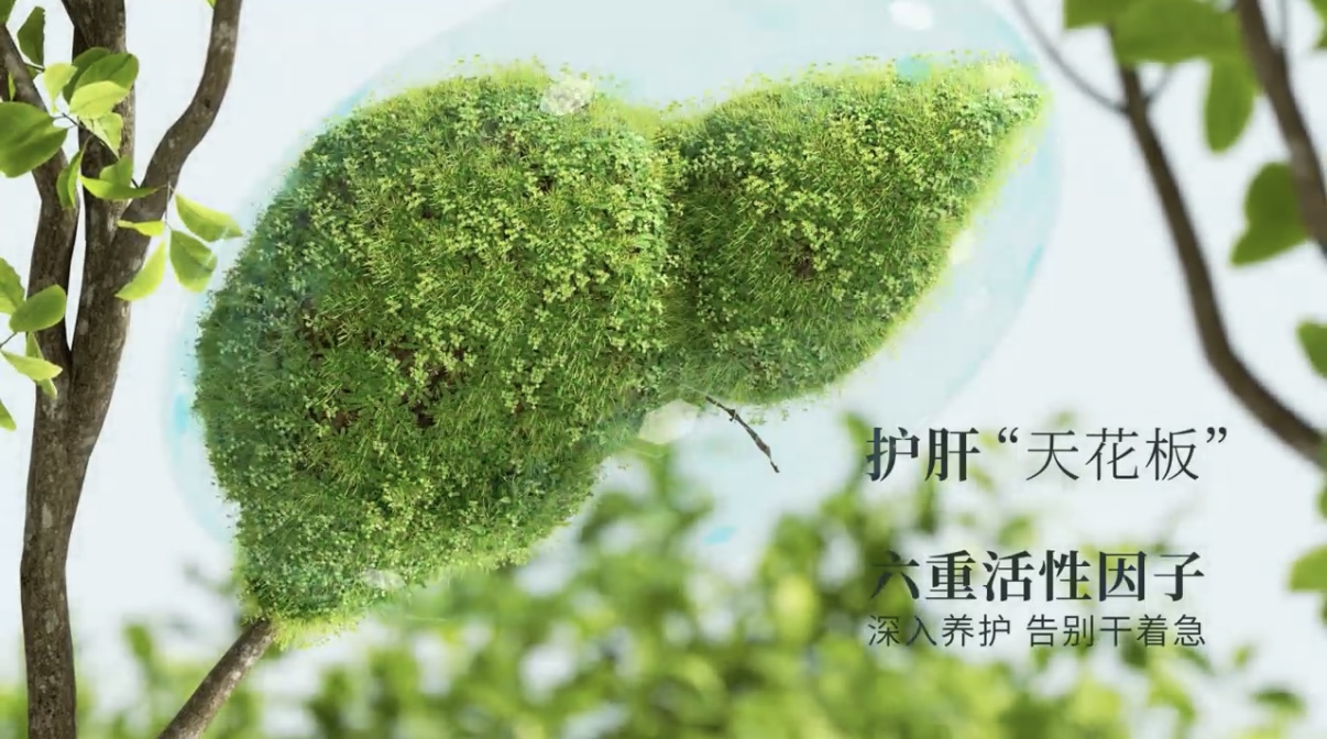 演示动画